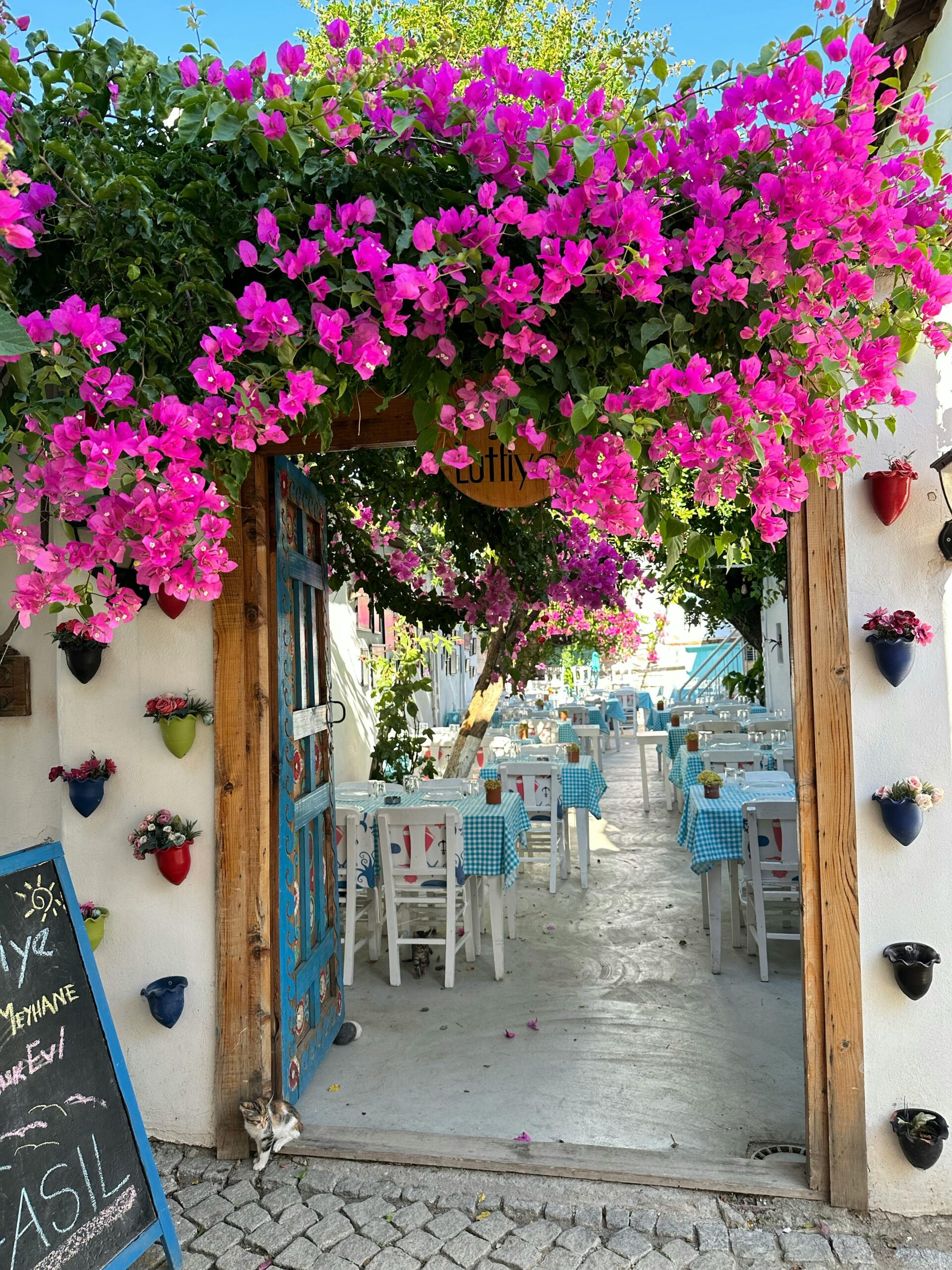  Αντώνης Μ., Ιδιοκτήτης ταβέρνας